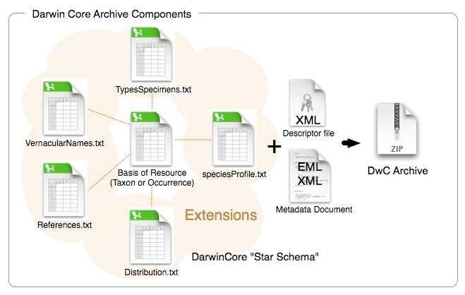 Padrões de dados e metadados Darwin Core Esquema em estrela com suporte a vários tipos de informação: Germoplasma, multiplas determinações, tipos e