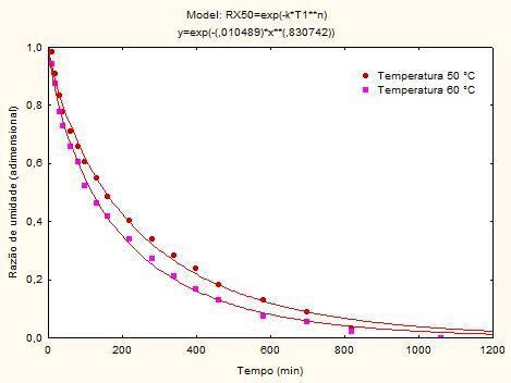 Para a aplicação dos modelos matemáticos aos dados experimentais foi utilizado o programa computacional Statistica 7.0 por meio de análises de regressão não linear.