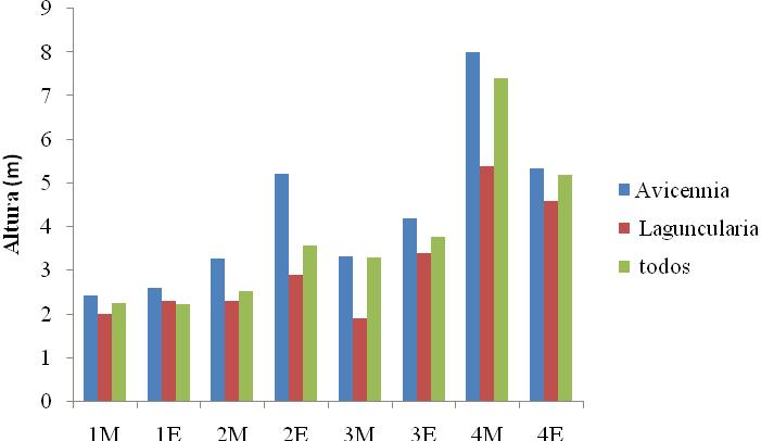 Figura : Altura média (m) de Avicennia schaueriana, de Laguncularia racemosa e de todas as árvores nas parcelas estudadas.