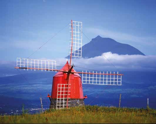 São Miguel é verde, o Faial é azul, o Pico preto e a Terceira, a ilha lilás, é a ilha de todas as festas. Por isso, já dizia um poeta, um sinal, e os Açores são a cores.