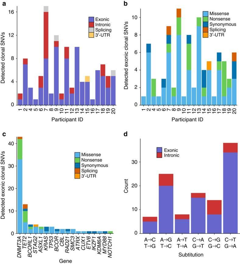 HEMATOPOESE CLONAL: Normal vs