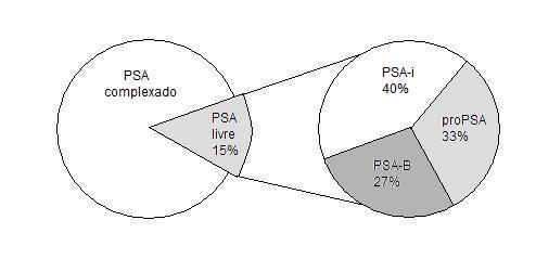 5. FISIOPATOLOGIA DO PSA O PSA é uma glicoproteína serino-protease do tipo das calicreínas, 17 produzido pelas células epiteliais do tecido prostático, normal ou neoplásico, e pelas glândulas