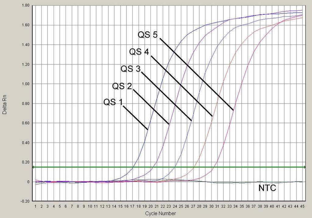 Fig. 23: Detecção dos Padrões de quantificação (Parvo B19 RG/TM QS 1-5) através da detecção de um sinal de
