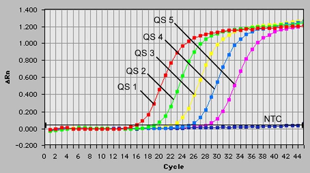Fig. 25: Detecção dos Padrões de quantificação (Parvo B19 RG/TM QS 1-5) através da detecção de um sinal de