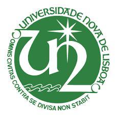 Universidade de Lisboa - Instituto Superior de Economia e Gestão Universidade de Lisboa