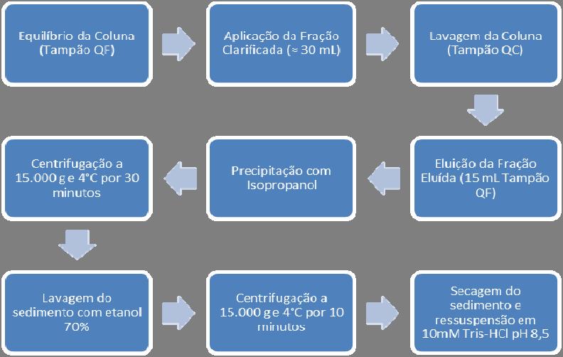 52 vez, logo em seguida aos procedimentos anteriores. O procedimento foi realizado em Fluxo Laminar Classe II e a eluição foi feita por gravidade, ou seja, sem o uso de seringas ou bombas de vácuo.