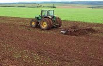 A partir dos anos 2000, a nova fronteira agrícola, representada pelos estados do Maranhão, Tocantins, Piauí e Bahia (MATOPIBA), ganhou importância na produção de grãos ao mesmo tempo em que o plantio