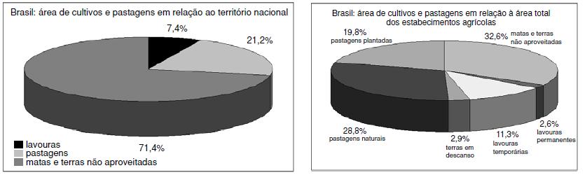 poderes, iniciava-se um processo histórico de concentração de terras (latifúndio), de especialização em um só produto (monocultura), de mandonismo do proprietário (um Estado independente ).