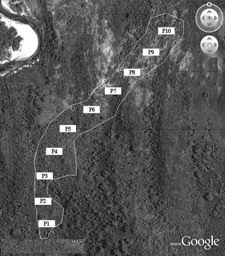 10 Mota SLL, Pereira IM, Machado ELM, Oliveira MLR, Bruzinga JS, Farnezi MMM et al. Floresta e Ambiente 2014; 21(1):8-18 Figura 1.