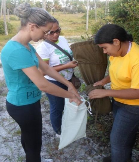 Estes transectos foram esticados para demarcação das parcelas de 1m 2 de serapilheira, que resultaram um total de 30 unidades amostrais.