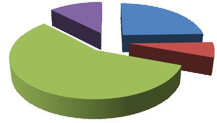 Técnicos superiores 25% Assistente Técnico 57% Informática 6% Gráfico 3 Distribuição dos recursos humanos, segundo a