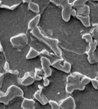 Imagens de microscopia eletrônica de varredura das amostras submetidas ao ciclo de tratamento térmico