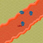 High-Density Lipoproteins (HDL): é responsável pelo transporte reverso do colesterol ou seja, transporta o colesterol endógeno de volta para o fígado.