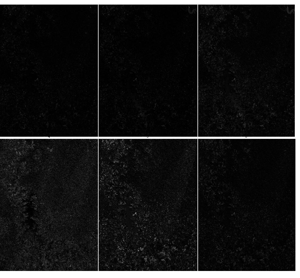 Figura 3. Imagem de diferença para o recorte da cena Landsat-TM nas seis bandas espectrais. Cor preta=diferença nula; Cor branca=diferença máxima. Figura 4.