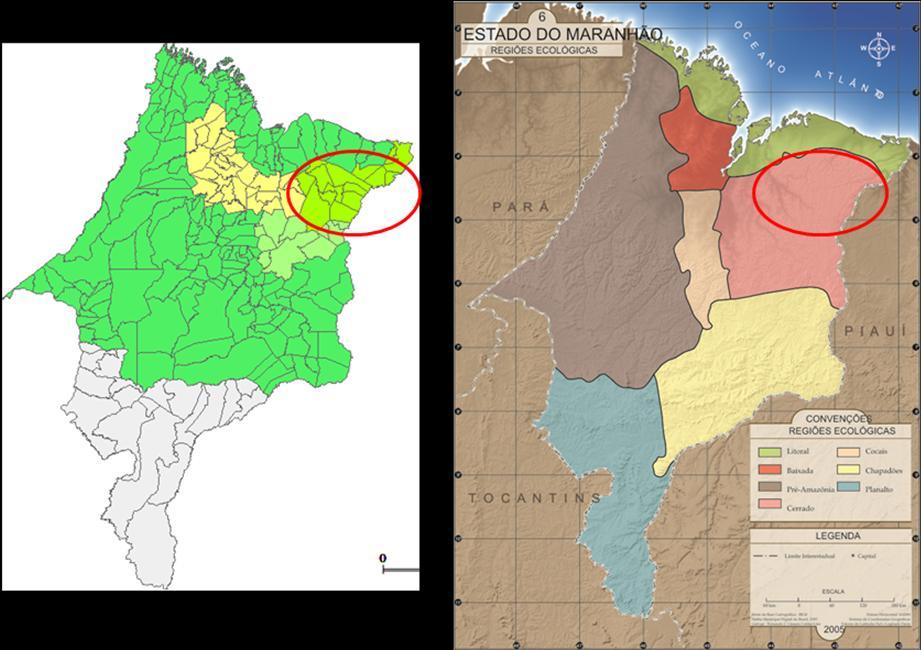 No entanto, verificou-se que ao se estudar a distribuição de soja no estado do Maranhão, esta produção está restrita a áreas que apresentam características propícias a essa produção, tais como: a