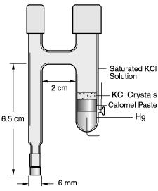 Pasta de calomelano: g/g Cl g - 1 - Cl(s) e g (l) Cl (aq)