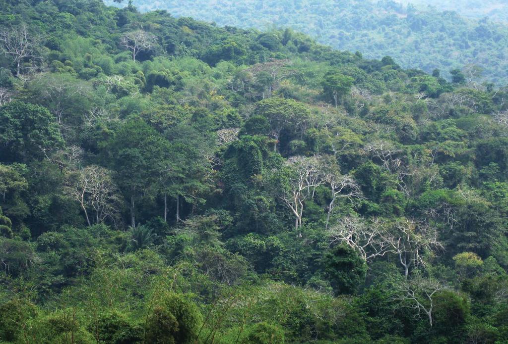 Angola assina acordo tripartido para conservação da floresta de Maiombe Os Ministérios do Ambiente das Repúblicas de Angola, Democrática do Congo(RDC) e do Congo (Brazzaville) assinararam, Província