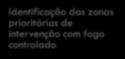 Como se estrutura o Plano Nacional de Fogo