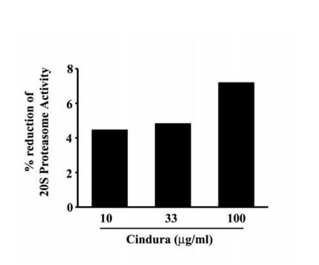 - Redução Atividade do Sistema Ubiquitina Proteassoma Cindura pode reduzir a perda de massa muscular pela redução da atividade do sistema ubiquitina proteasoma.