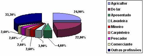 Encontrou-se vários tipos, mas mereceu atenção os agricultores com 24,90% e as pessoas que trabalham no lar com 22,90%.