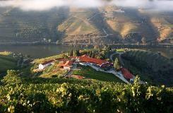 Segue-se visita à Quinta Nova, uma das maiores produtoras da região, prova dos seus vinhos fantásticos e almoço com vista sobre o rio Douro.