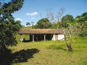 Do lado esquerdo da sede está localizado parte do pomar da fazenda, onde se