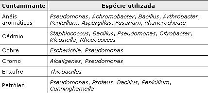 EXEMPLO DE BIORREMEDIAÇÃO 21 ESPÉCIES DE MICRO-ORGANISMOS UTILIZADOS NO PROCESSO DE BIORREMEDIAÇÃO.
