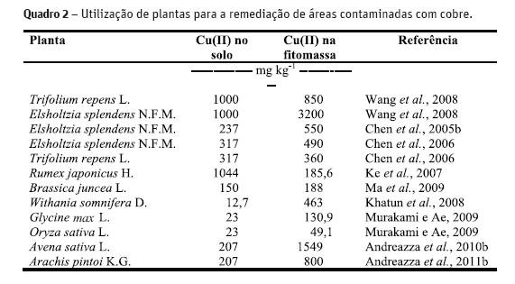 EXEMPLO DE BIORREMEDIAÇÃO 23 ANDREAZZA, Robson et al. Biorremediação de áreas contaminadas com cobre. Rev. de Ciências Agrárias, Lisboa, v. 36, n. 2, p.