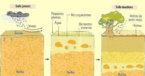 INTRODUÇÃO - SOLO 4 O solo constitui a camada mais superficial da crosta terrestre e sofre transformações Fatores climáticos; Biológicos; Atividades antropogênicas.