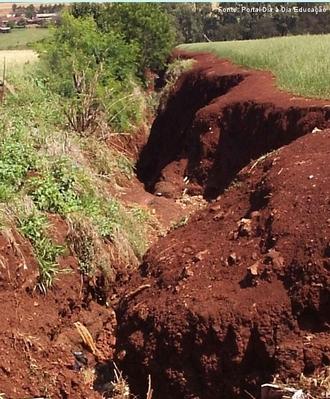 PRINCIPAIS CONTAMINANTES DO SOLO 6 Compostos agroquímicos os defensivos agrícolas com potencial