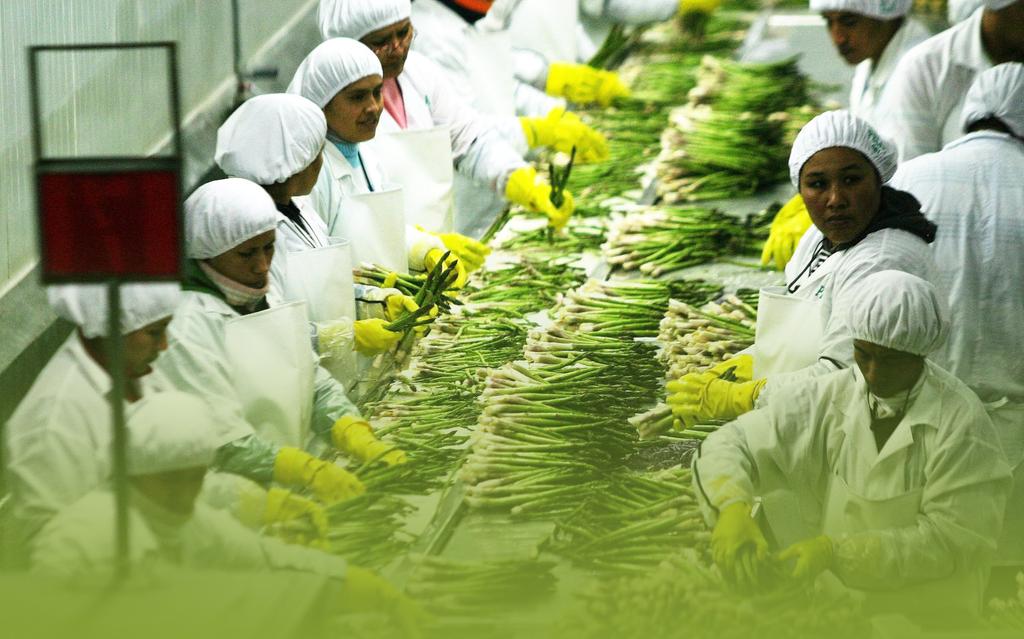 Porém, percebe-se uma tendência de recuperação de preços desde abril, o que se deve à redução da produção.