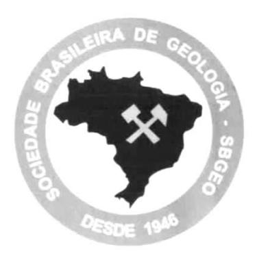 Logo, esse manual visa orientar e facilitar o uso da logomarca da SBG na sua forma ideal, sem distorções, cores e contrastes indevidos.