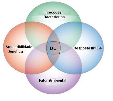 Etiopatogenia Vários estudos citam os fatores genéticos e ambientais como proponderantes na D.