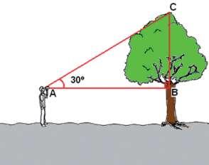 Nela, temos indicado o ângulo de 30º. Esse ângulo pode ser obtido com o auxílio de um teodolito. Responda: a) Conhecendo a medida de AB, você acha que é possível determinar a altura da árvore? Como?