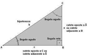- Identificar os lados de um triângulo retângulo; saber utilizar o transferidor e régua para efetuar medições; efetuar cálculos com números reais; reconhecer triângulos semelhantes, saber aplicar o