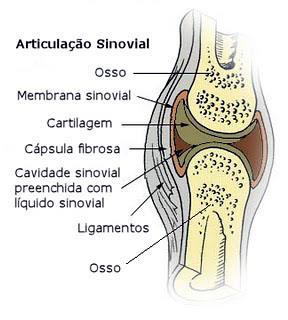 o coeficiente de