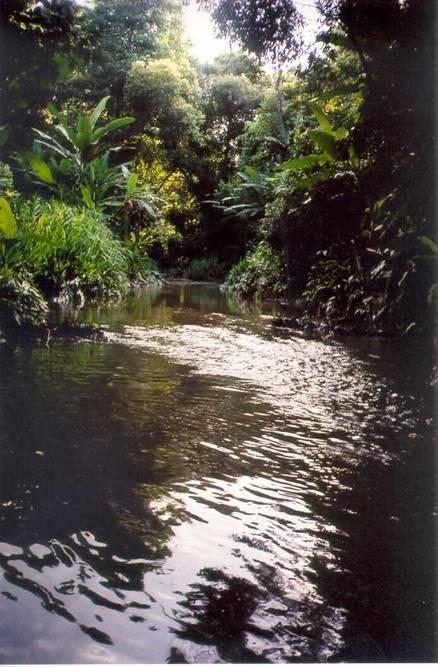 12 O Rio Ribeirão (25o35 S; 48o37 O) nasce a 766m de altitude em relação ao nível do mar, na Serra da Prata.