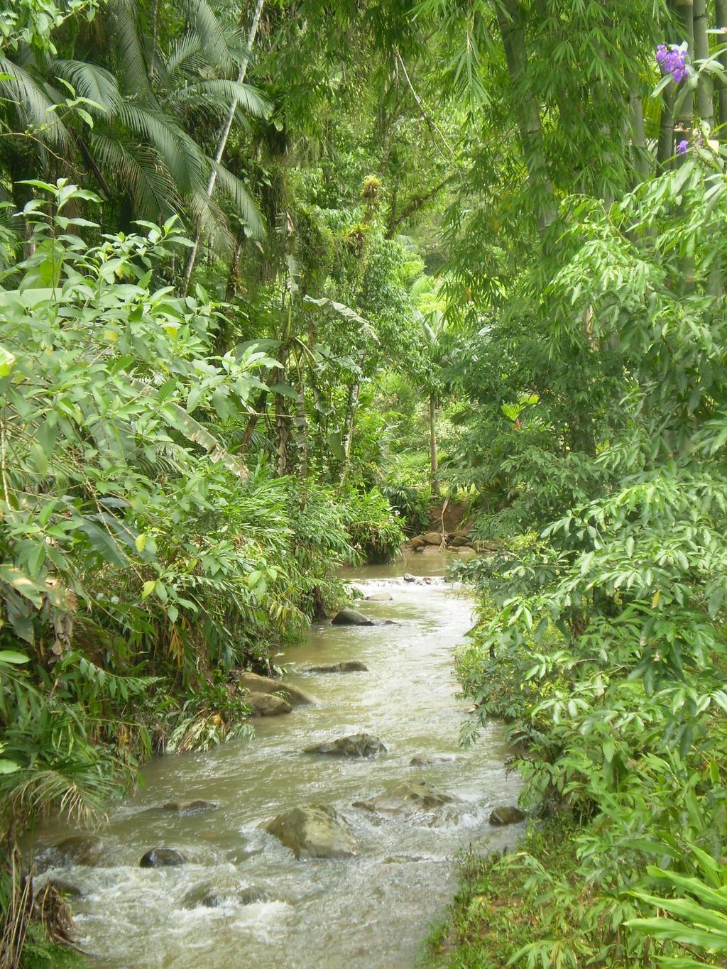13 O Rio Barroca (25º24 S; 48º50 O) com elevação de 63 metros pertence à Sub-bacia do Rio Nhundiaquara. É caracterizado por possuir águas claras, com fundo arenoso, com cascalho e folhiço.
