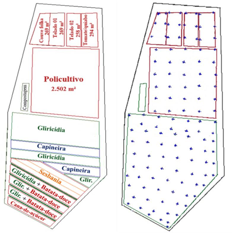 para a produção de biomassa e de culturas de ciclo longo. O restante da área destina-se a plantios limítrofes e ruas para circulação de pessoas e maquinas.