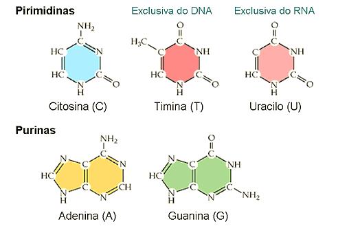 INTRODUÇÃO ESTRUTURA