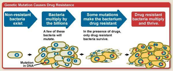 MUTAÇÃO Alteração herdável Pode modificar o produto (proteína) codificado pelo gene.