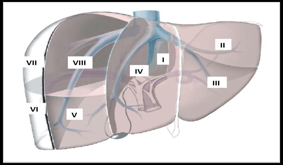 20 3.2. DEFINIÇÕES Foi considerada complicação vascular precoce, aquela que ocorreu até 90 dias após a data do transplante.