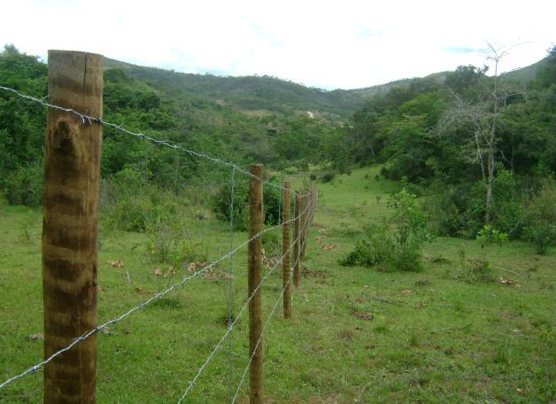 bacia do rio Taquaraçu.