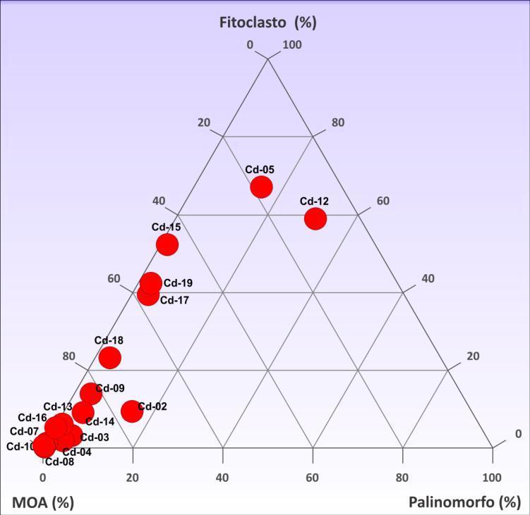 19 4.2 Palinofácies e Análise de Geoquímica Orgânica A análise de palinofácies revelou a ocorrência dos 3 principais grupos da matéria orgânica.