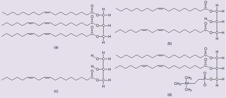 20 Figura 11: Representação de ésteres derivados da glicerina presentes em óleos e gorduras: (a)triacilglicerídeo; (b) diacilglicerídeo; (c) monoacilglicerídeo; (d) lecitina.