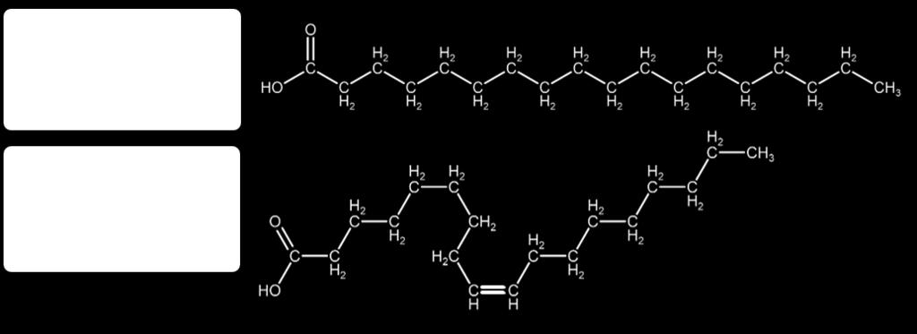 Figura 12. Figura 12: Cadeias carbônicas saturadas e insaturadas dos ácidos graxos.