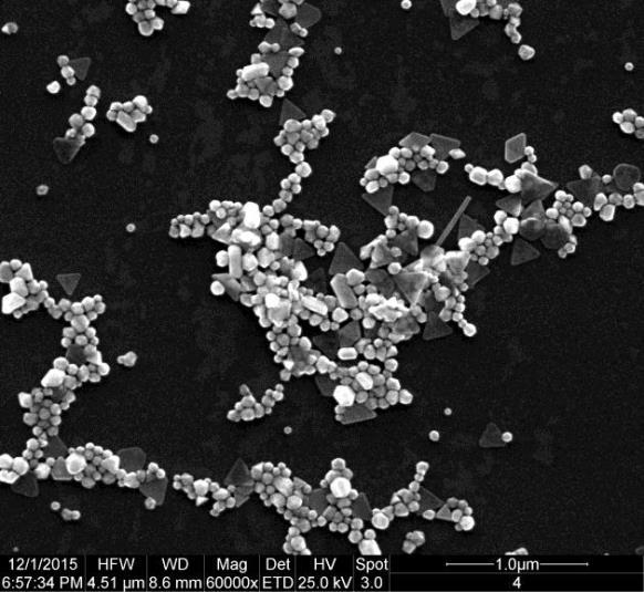 utilizadas (espectroscopia UV, microscopia, DLS, XRD entre outras) A