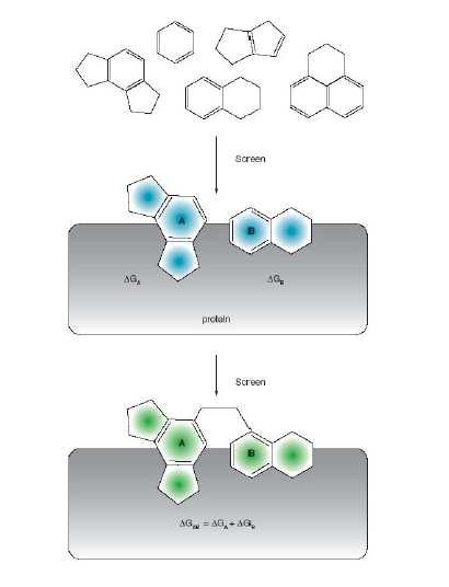 Coleção de substâncias ZINC, Produtos Naturais (in-home DB) F i l t e r O m e g a F r e d 1. MM 2. Lig.-H 3. Rotação 4. NHOH 5.