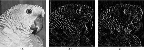 2.2 Conceitos básicos de processamento de imagens digitais 16 respectivamente. Figura 2.12: Aplicação de filtros de realce.