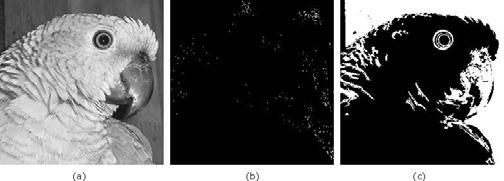 2.2 Conceitos básicos de processamento de imagens digitais 24 a 255. O resultado pode ser visto na figura 2.24 (c). Pelo exemplo da figura 2.